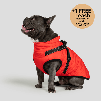 FurryHaze™ 3 in 1 Winter Jacket