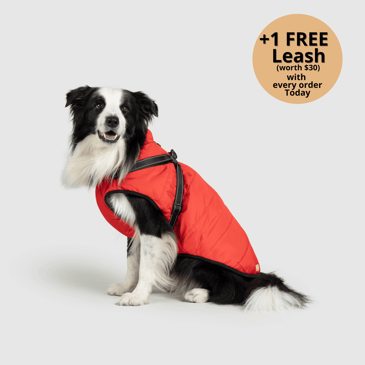 FurryHaze™ 3 in 1 Winter Jacket