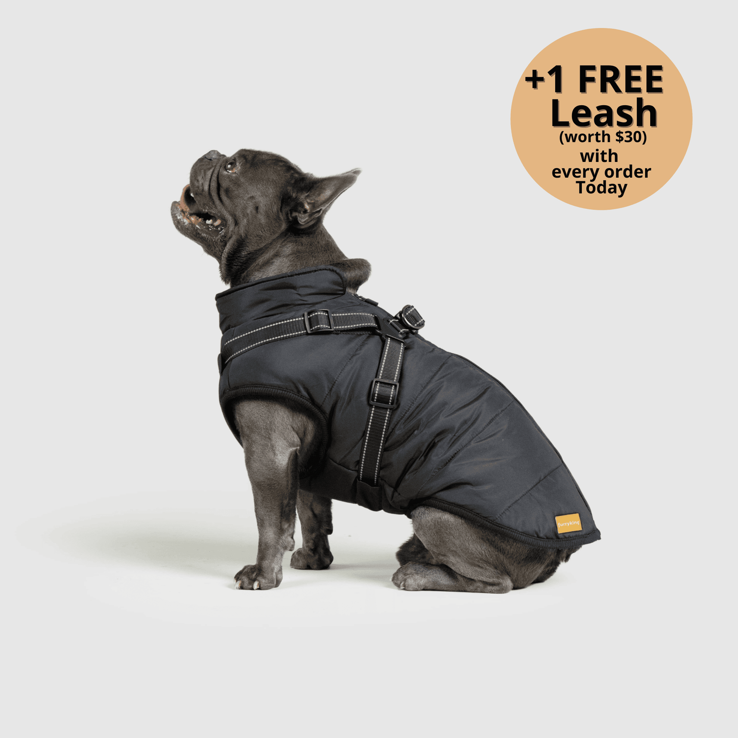 FurryHaze™ 3 in 1 Winter Jacket