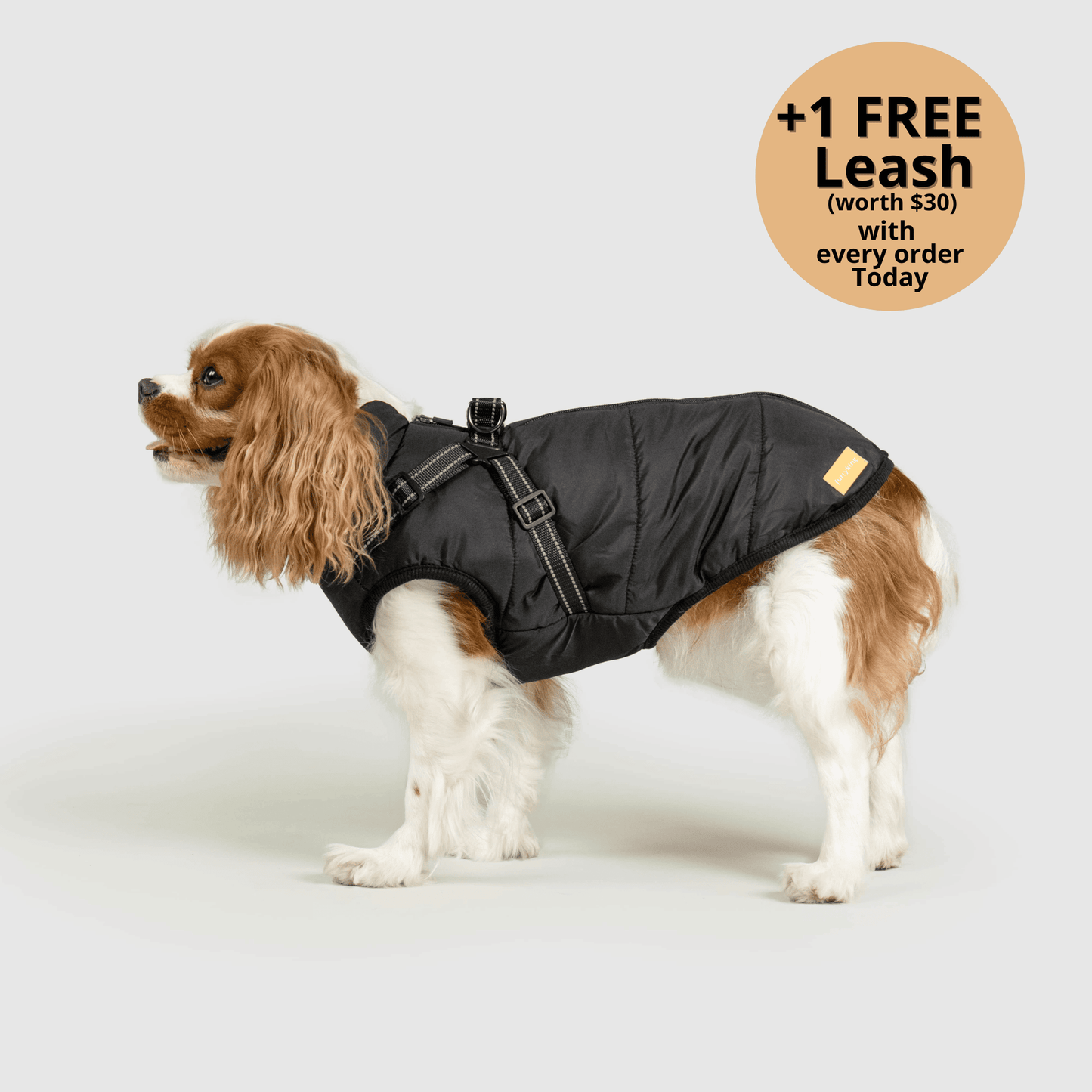 FurryHaze™ 3 in 1 Winter Jacket