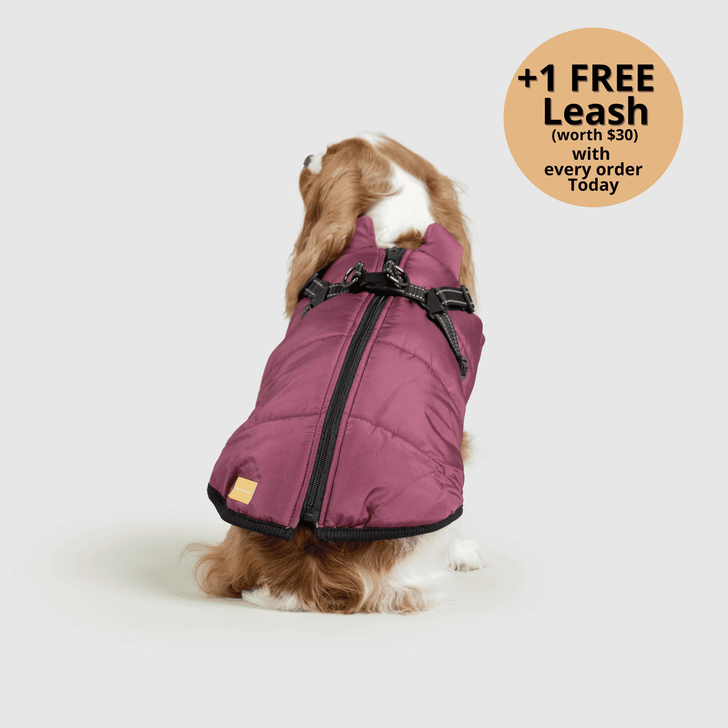 FurryHaze™ 3 in 1 Winter Jacket