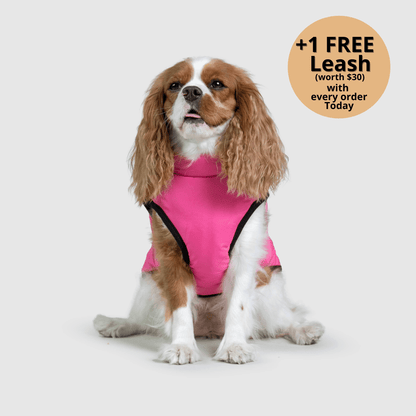 FurryHaze™ 3 in 1 Winter Jacket