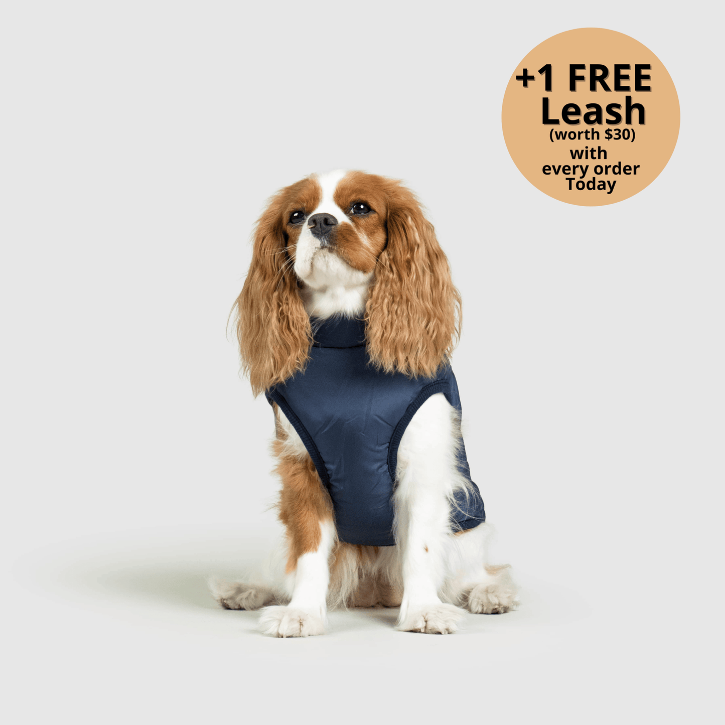 FurryHaze™ 3 in 1 Winter Jacket