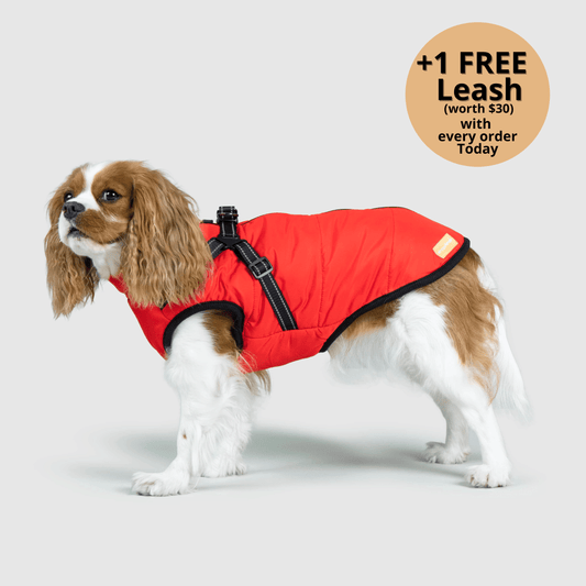 FurryHaze™ 3 in 1 Winter Jacket