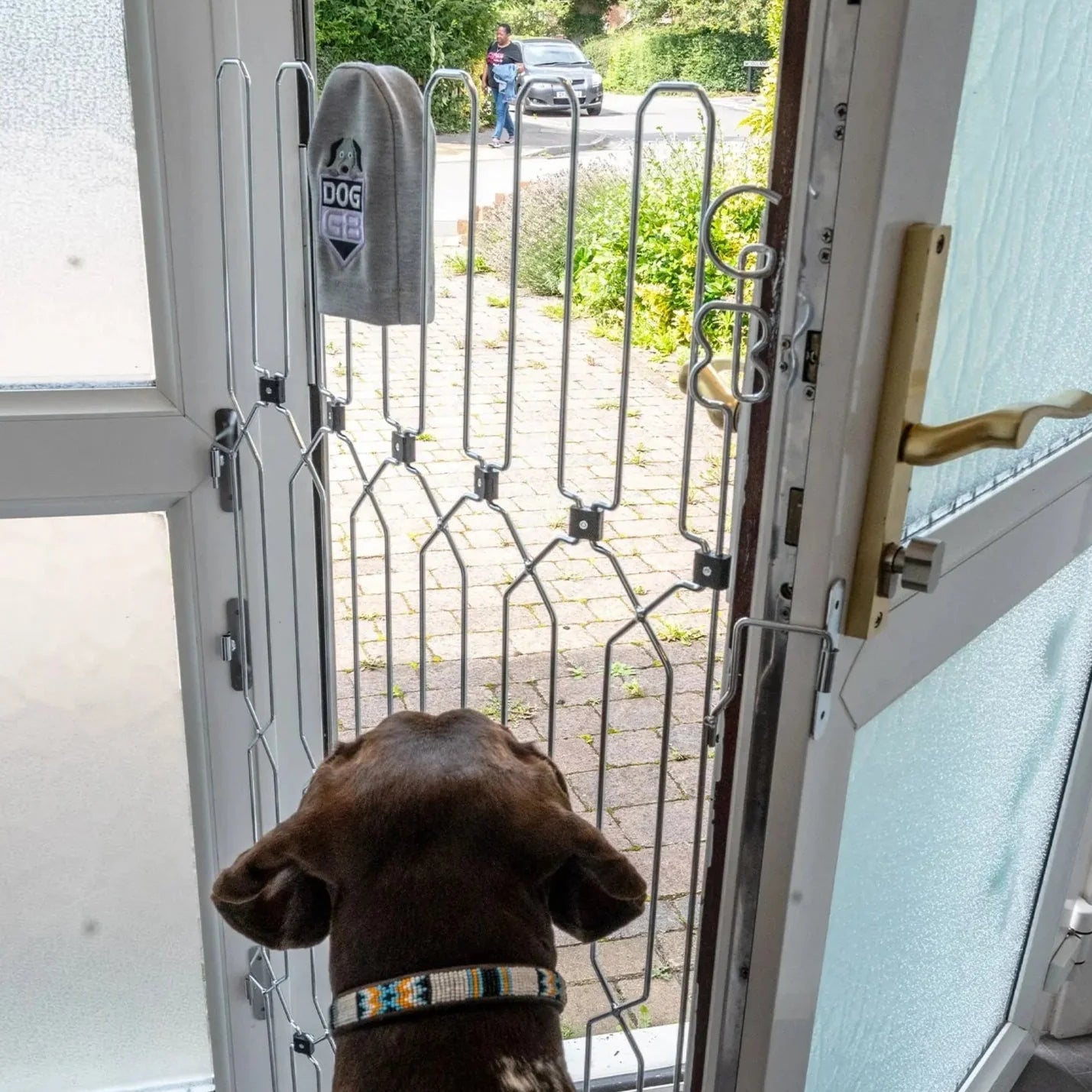 DOG-G8 Front Doors